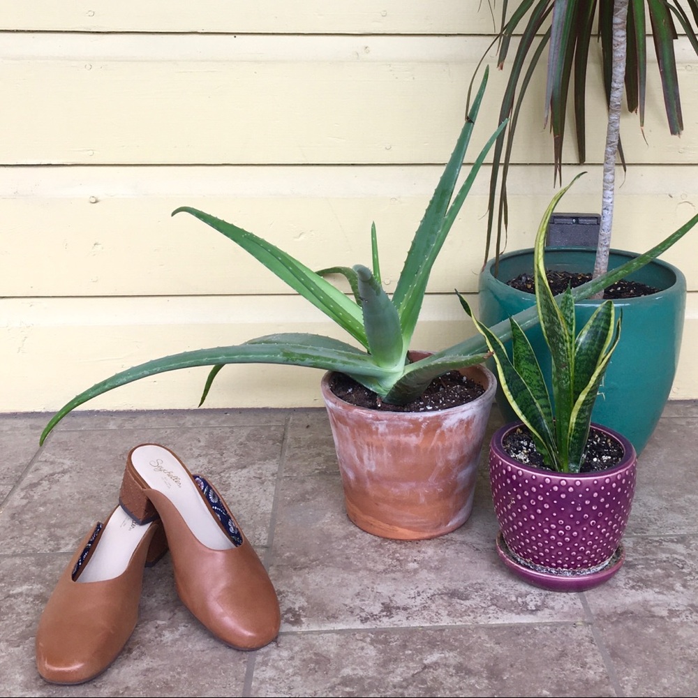 Seychelles Brown Leather Mules